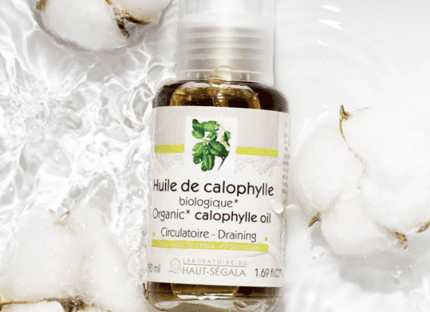 huile végétale de calophylle