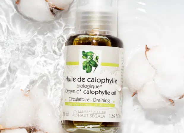 huile végétale de calophylle