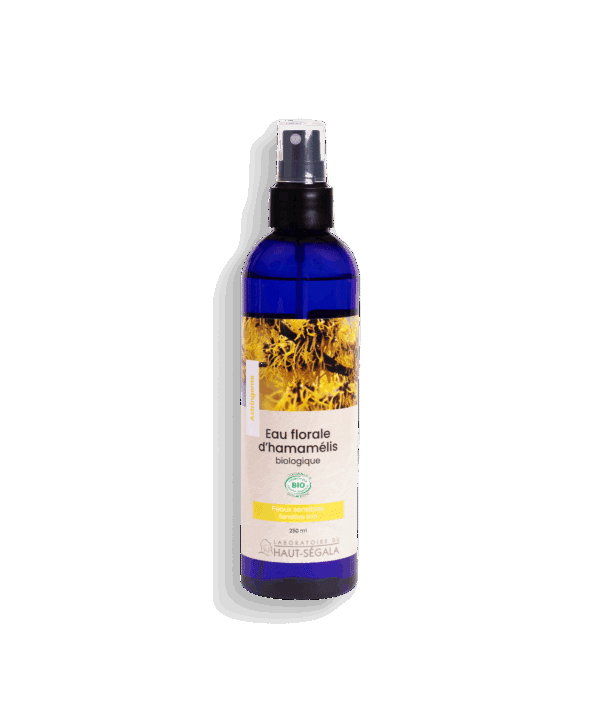 Eau florale d'hamamélis certifiée BIO