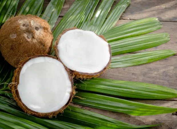 Baume à lèvres à la noix de coco pour peau et lèvres sensible - Biosiris