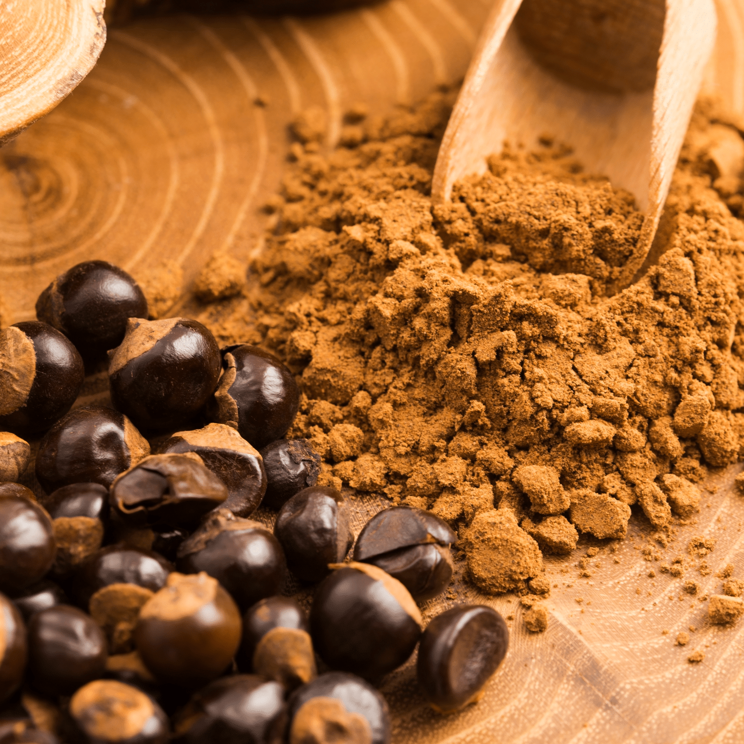 Gros plan de graines de guarana sombres à gauche et d'une pile de poudre de guarana brune avec une petite cuillère en bois à droite, le tout sur une surface en bois. L'image illustre la poudre de guarana et les graines de guarana, mettant en avant l'ingrédient naturel.