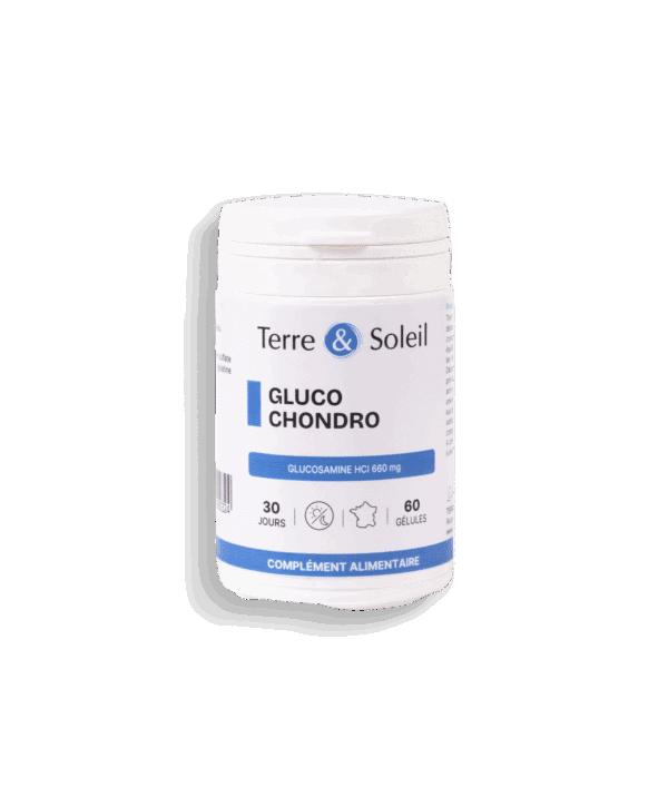 GLUCO CHONDRO